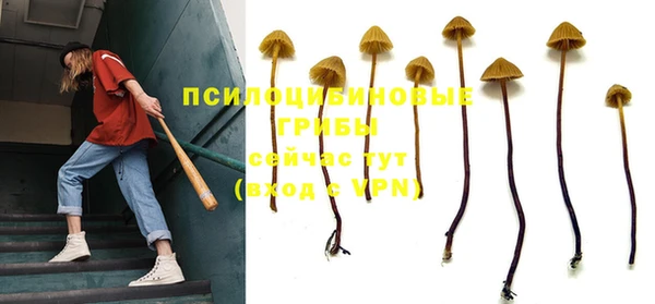a pvp Богородицк